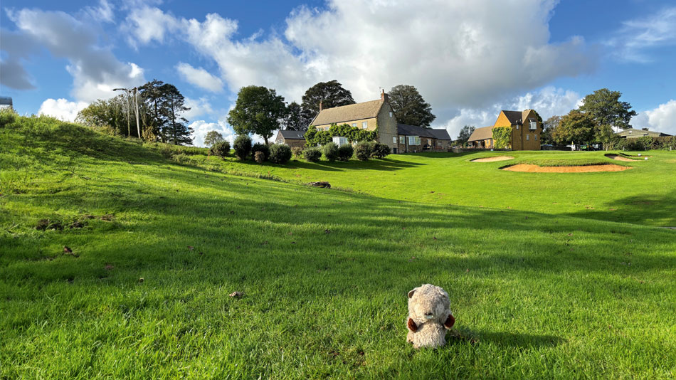 Gopher Watch Competition – January 2024